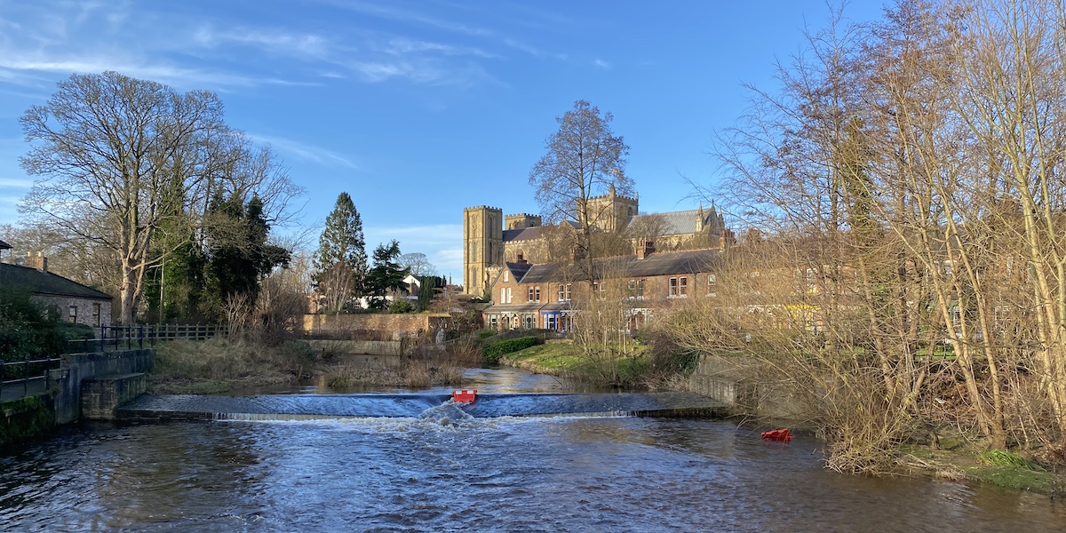 Ripon Near The Water Rat